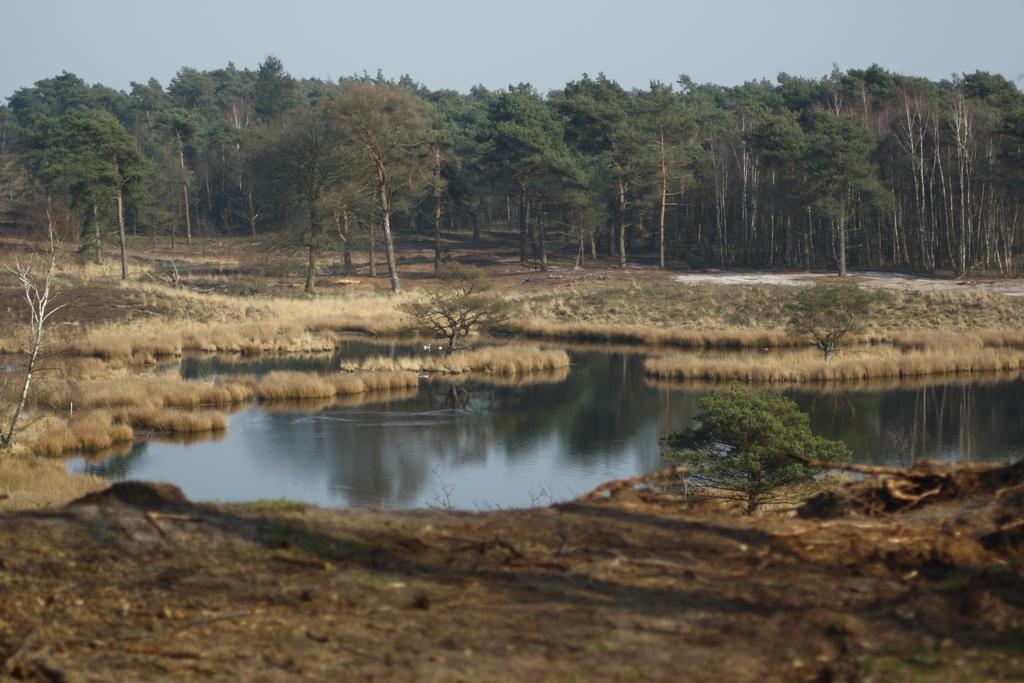 Logies Angelbeeck Afferden (Limburg) Exterior foto