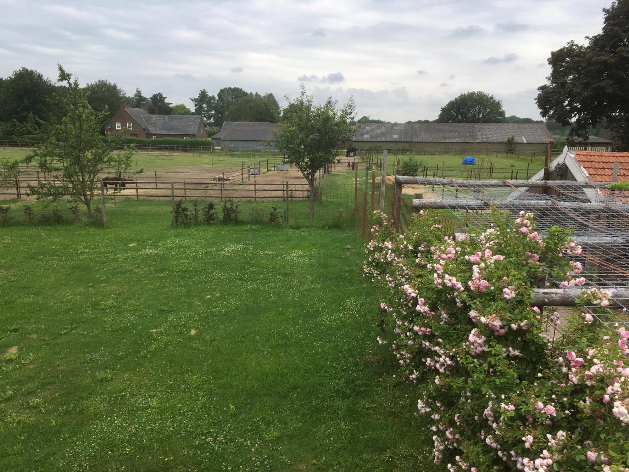 Logies Angelbeeck Afferden (Limburg) Quarto foto